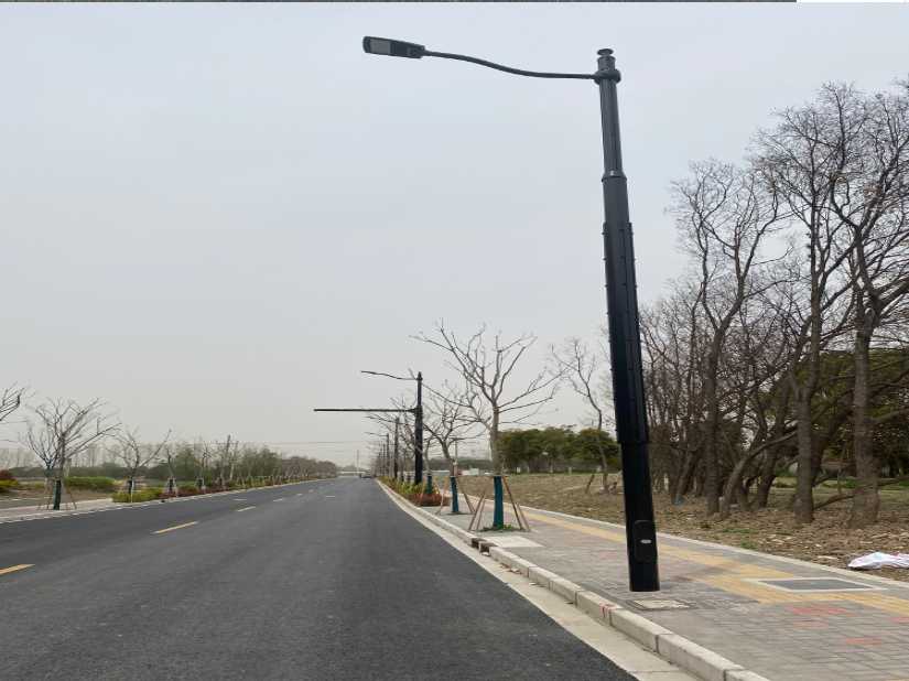 甘谷县上海综合杆 太阳能路灯工程